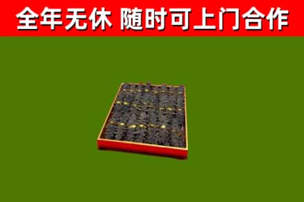 于田回收海参